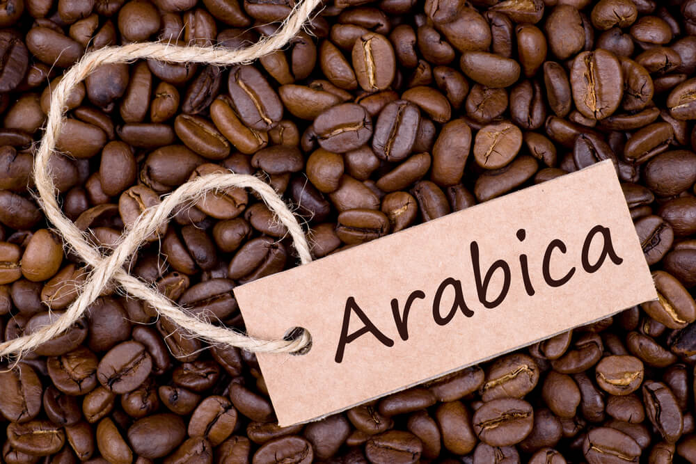 Cà phê hạt nguyên chất Arabica được trồng ở đâu ngon nhất?