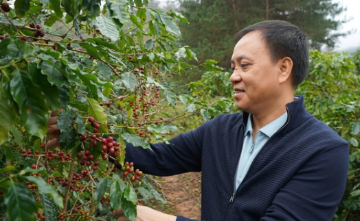 "Mầm hoạ ung thư đóng gói" đằng sau ly cà phê đen đặc