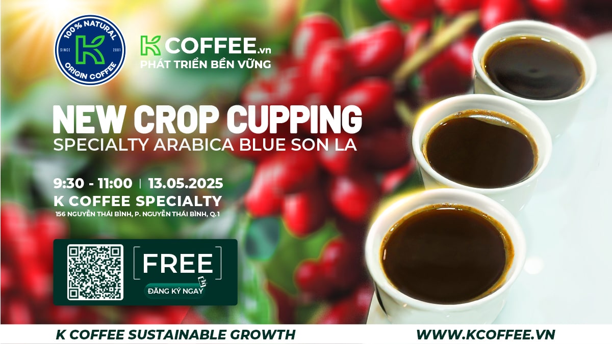 TRẢI NGHIỆM CÀ PHÊ ĐẶC SẢN BLUE SON LA VỚI NEW CROP CUPPING K COFFEE TRẢI NGHIỆM CÀ PHÊ ĐẶC SẢN BLUE SON LA VỚI NEW CROP CUPPING K COFFEE