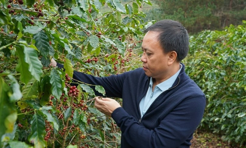 Vietnam coffee sector battles through highs and lows in 2023